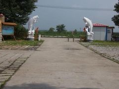 -白渔泡湿地公园