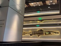 -炉鱼(无锡八佰伴中心店)