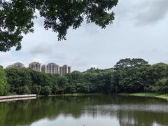 -东莞植物园