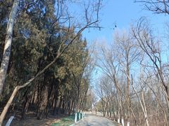 -云岗森林公园