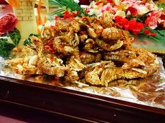 -洪湖家庭农场·团建·露营·会议