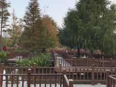 -五缘湾湿地公园