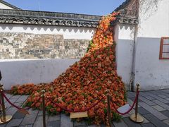 -青果巷历史文化街区