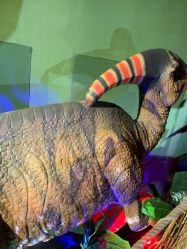 -恐龙探索乐园(磁器口店)