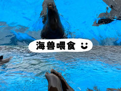 -上海海昌海洋公园