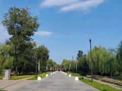 -野鸭湖国家湿地公园