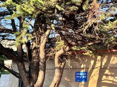 -黑石礁公园
