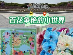 -上海鲜花港