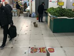 -金宝生活市场(东五环店)