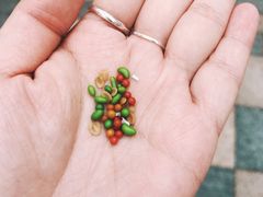 -Pita's&Tika's中东和印度风味餐厅(龙湖天街店)