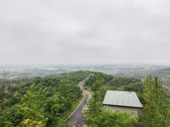 -冶父山国家森林公园