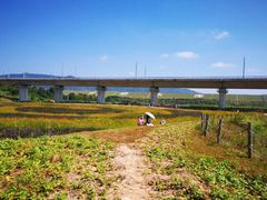 -光明小镇欢乐田园