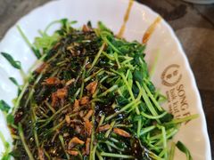 豆苗-松發肉骨茶(先得坊店)