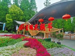 -东平国家森林公园