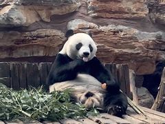 -石家庄市动物园