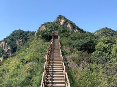 -大岭沟猕猴桃谷风景区