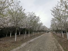 -上海海湾国家森林公园