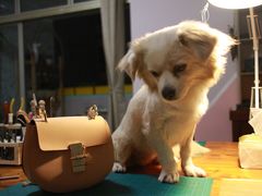 -零几体验diy皮具工作室(振业城店)