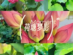 -美兰湖景区