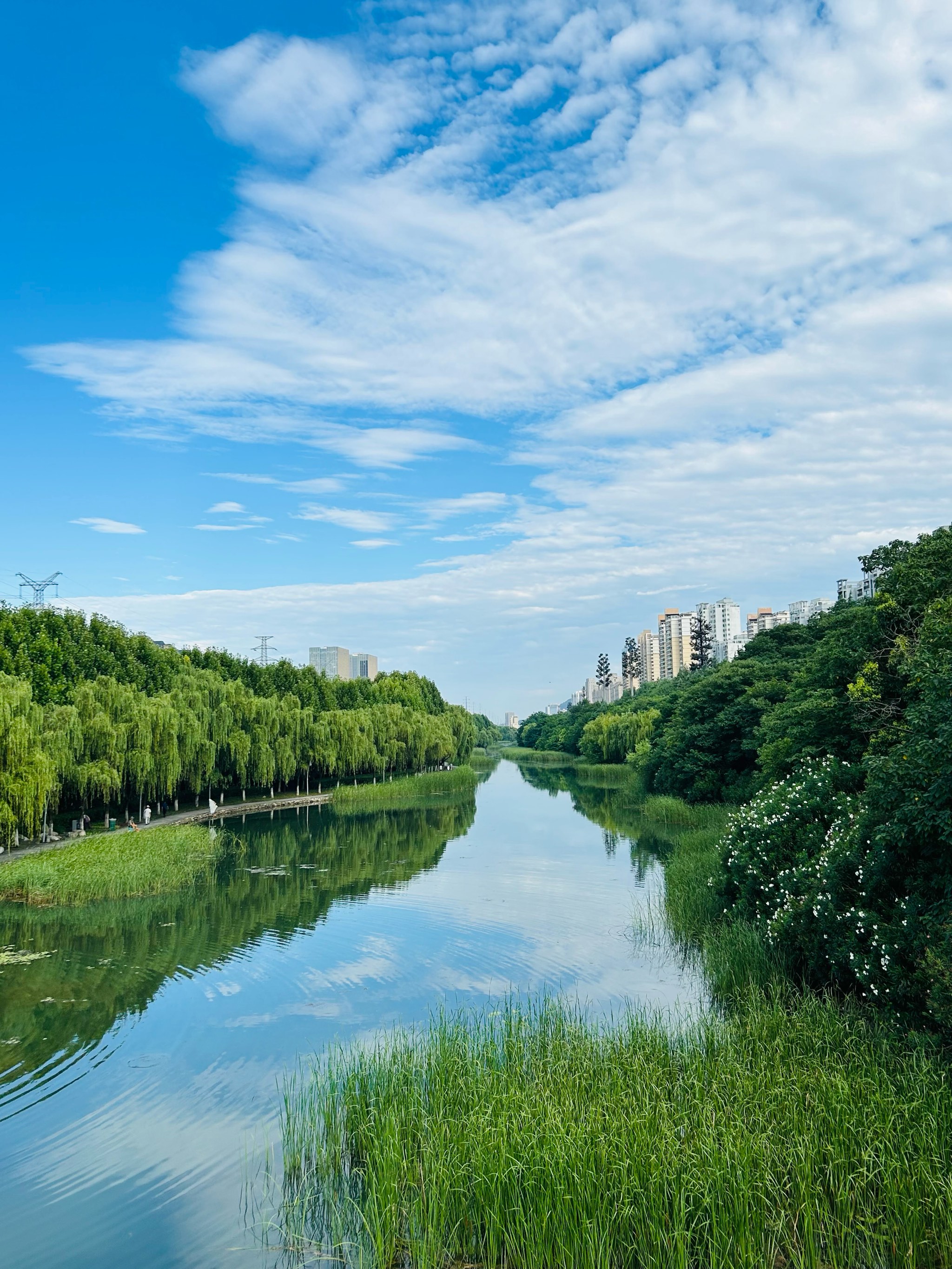 夏天早晨的美景图片