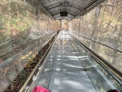 -丹山赤水风景名胜区