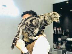 -UNI UNI(环亚凯瑟琳店)