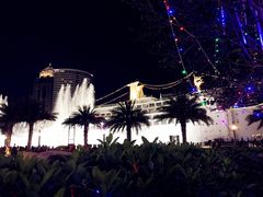 -Paulaner·德国帕拉娜自酿啤酒餐厅(海上世界店)