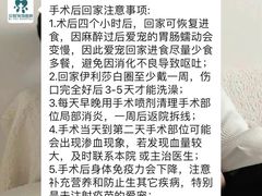 -贝利宠物医院·骨科·眼科·肿瘤转诊中心(南坪诊疗中心)