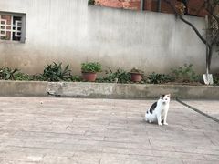 -民国红公馆·艺文空间(颐和路店)