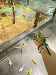 -酷嗒动物文化乐园(cutezoo西溪乐天城店)