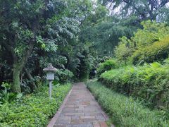 -广州兰圃