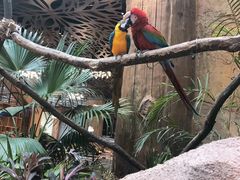 -杭州开元森泊度假乐园