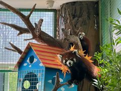 -海合安武汉极地海洋公园