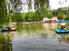 -莲湖公园