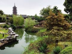 -苏州吴宫泛太平洋酒店