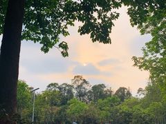 -天适樱花悠乐园