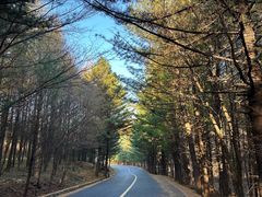 -本溪老边沟风景区