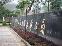 -南宁良凤江国家森林公园