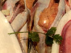 尖角子鱼-大家发海鲜城夜排档(华山中路店)