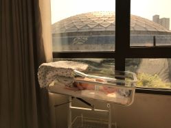 -海豚湾高端月子会所(黄浦店)