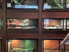 -帕帕拉兹宠物(亚洲旗舰店)