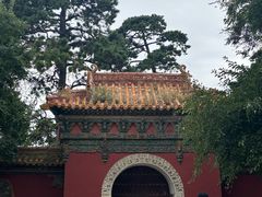-北陵公园