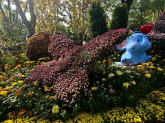 -共青国家森林公园-南大门停车场