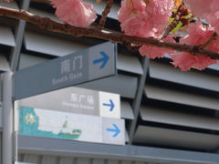 -南京奥林匹克体育中心