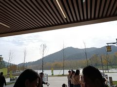 -千年银杏谷文化旅游区