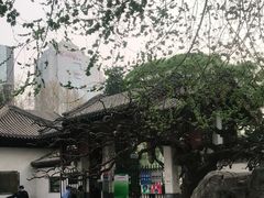 -团结湖公园