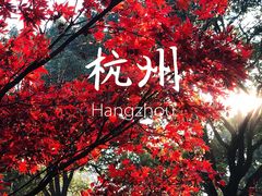 -西湖风景区十里琅珰-五云山