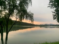 -羊山湖公园