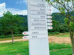 -风云岭森林公园