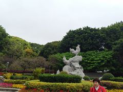 -金鸡山公园